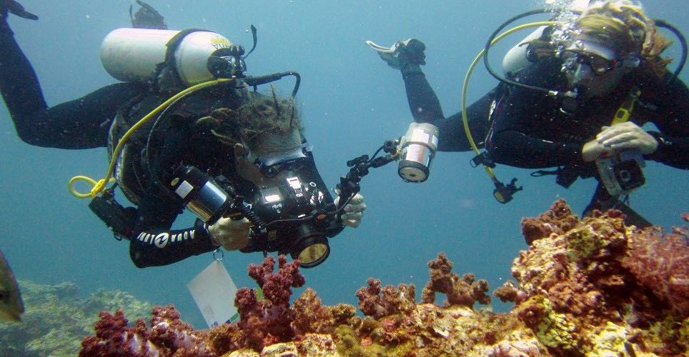 Diving packages are for certified divers only