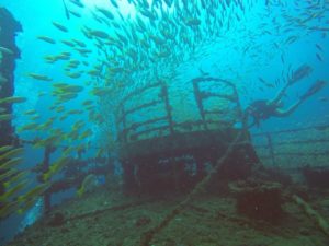 The advanced Koh Phi Phi dive site Kled Kaew wreck has an amazing amount of fish