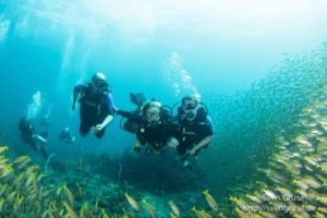 Become a PADI Dive instructor and teach students in our amazing under water world