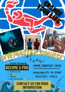 PADI Divemaster and Instructor Internships