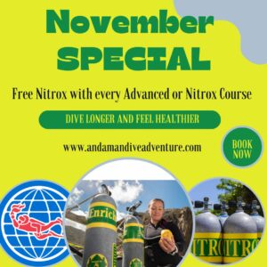 Choose to dive with Nitrox or learn scuba diving on Nitrox!