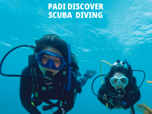 Schnuppertauchen proef duik proefduiken PADI DSD PADI Discover Scuba Diving