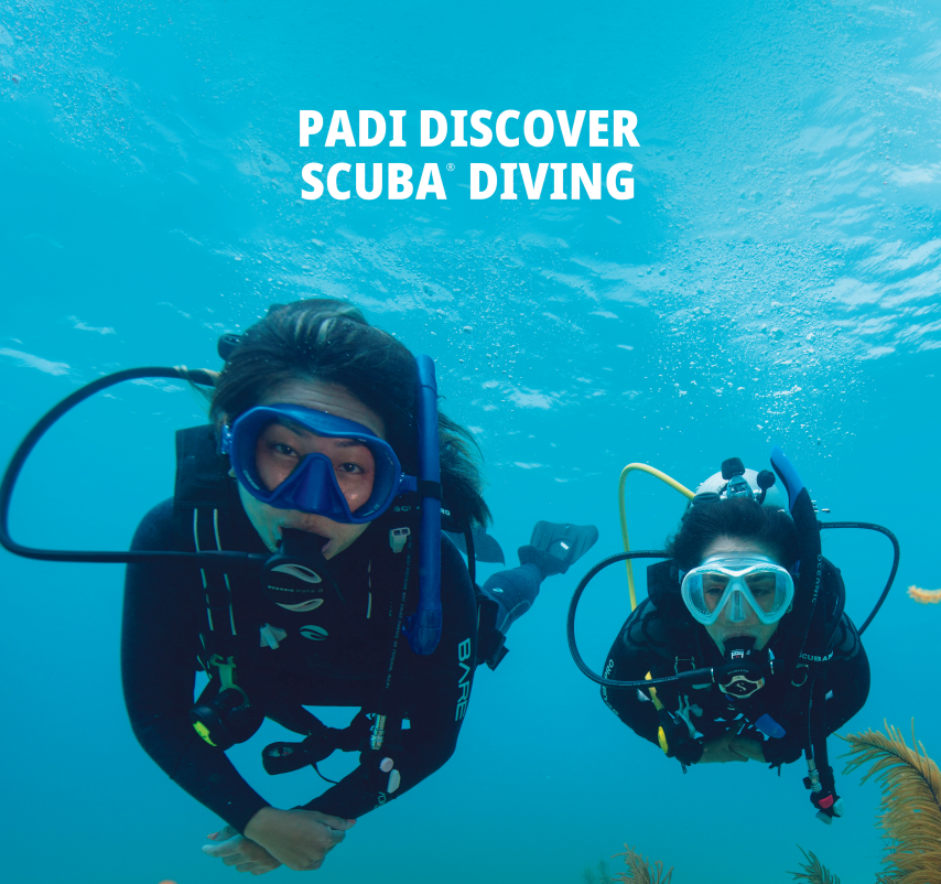 PADI Discover Scuba Diving - Try Dive - Andaman Dive Adventure Lanta