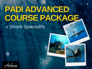 PADI Advanced Kurs + Shark